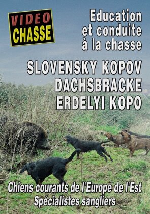 Slovensky kopov dachsbracke erdelyi kopo (Collection Vidéo chasse)