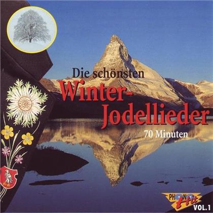 Die Schönsten Winter-Jodellieder - ---