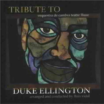 Orquestra De Cambra - Tribute To Ellington
