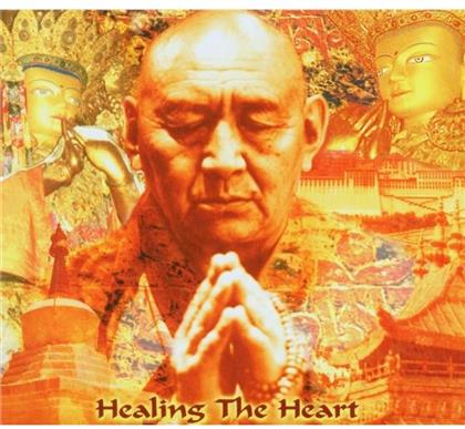 Sina Vodjani - Healing The Heart