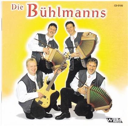 Die Bühlmanns - Orgeli-Song