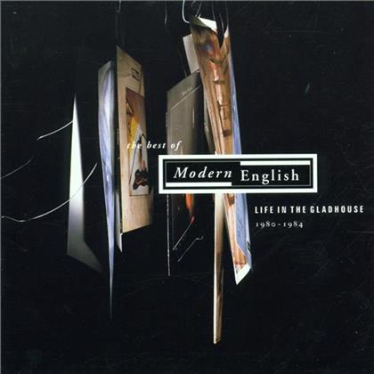 Modern English - Life In A Gladhouse - Best Of