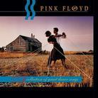 Pink Floyd - Collection Of Great - Paper Sleeve (Remastered)