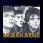 The Icicle Works - If You Want To Defeance