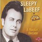 Sleepy Labeef - A Rockin' Decade