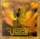 Voice - Golden Signs