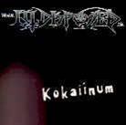 Illdisposed - Kokaiinum