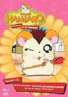 Hamtaro - Kleine Hamster, grosse Abenteuer - Vol. 9-12