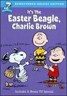 Peanuts - It's the Easter Beagle, Charlie Brown (Édition Deluxe)
