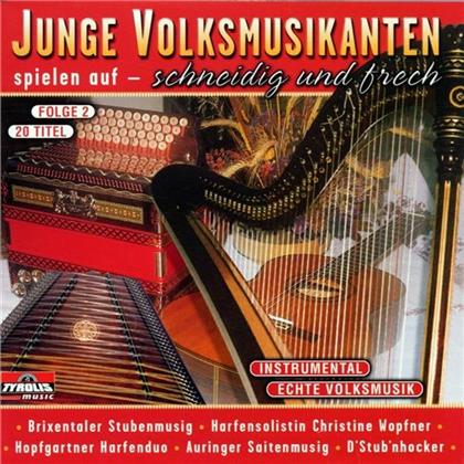 Junge Volksmusikanten Spielen Auf - Vol. 2