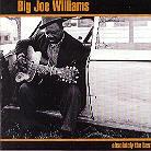 Big Joe Williams - Absolutely The Best