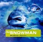 DJ Snowman - Sky Diver 3