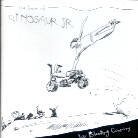 Dinosaur Jr. - Ear Bleeding Country - Best Of