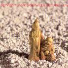 Scivias - And You Will Fear