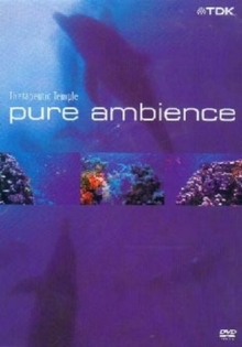 Various Artists - Pure ambience - Therapeutic temple