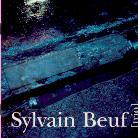 Sylvain Beuf - Trio