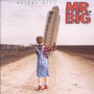 Mr. Big - Actual Size (Korean Edition)