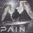 Pain - Nothing Remains... (Limited Edition)