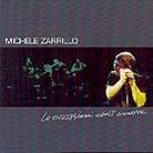 Michele Zarrillo - Le Occasioni Dell'amore (2 CDs)
