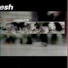 Mesh - Leave You With Nothing