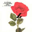 J-Luv - Weil Du Mich Liebst