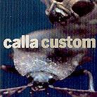 Calla - Custom: Remix Project