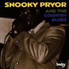 Snooky Pryor - Country Blues