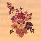 Lone Pigeon - Concubine Rice