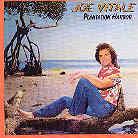 Joe Vitale - Plantation Harbor