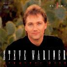 Steve Wariner - Greatest Hits 2