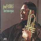 Jon Faddis - Hornucopia