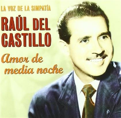 Raul Del Castillo - Amor De Media Noche
