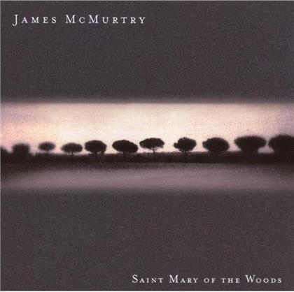 James McMurtry - Saint Mary Of The Woods (Limited Edition)