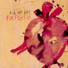 Foo Fighters - All My Life 2