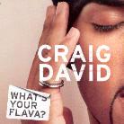 Craig David - What's Your Flava