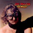 Joe Walsh (Eagles) - So What
