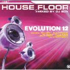 Evolution House Floor - Various 12