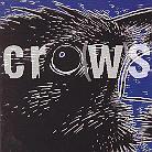 Crows - Durty Bunny Crows & Pawns