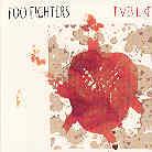 Foo Fighters - Time Like These
