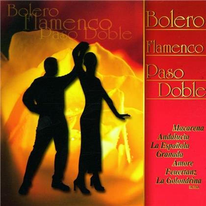 Let's Dance - Ballroom Dancing - Bolero - Flamenco - Pasa Doble
