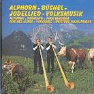 Jk Berggruess/Alphornduo Wicky - Alphorn Büchel Jodellied Volksmusik