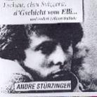 Andre Stürzinger - Ciau, Tschau D'gschicht Vom Elli
