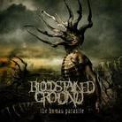 Bloodstained Ground - Human Parasite