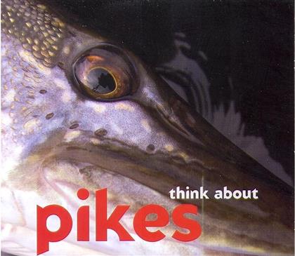 The Pikes - Think About