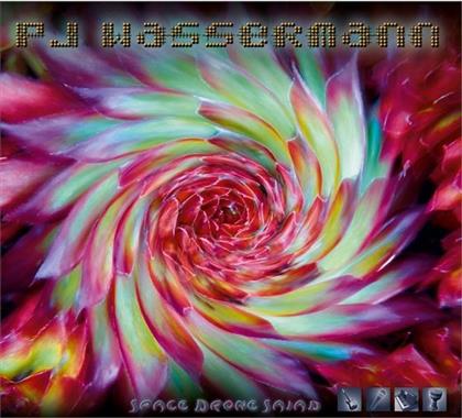 PJ Wassermann - Space Drone Salad - Fontastix Cd
