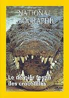 National Geographic - Le dernièr festin des crocodiles