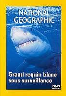 National Geographic - Grand requin blanc sous surveillance