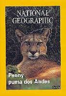 National Geographic - Penny, puma des Andes