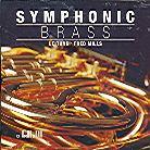 Symphonieorchester Basel - Symphonic Brass