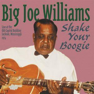 Big Joe Williams - Shake Your Boogie